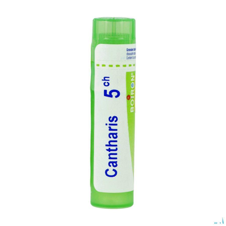 Cantharis 7CH Gr 4g  -  Boiron