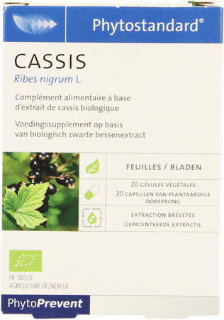 Phytostandard Zwarte Aalbes Capsule 20  -  Pileje