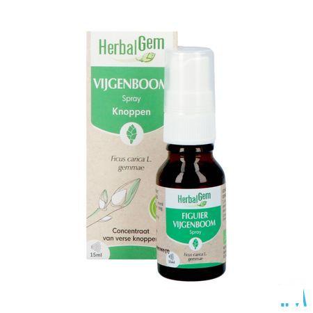 Herbalgem Figuier Bio Spray 15 ml