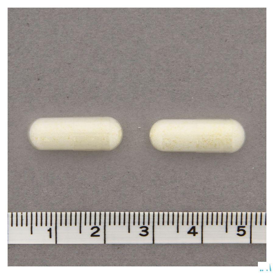 Probactiol Senior Capsule 60  -  Metagenics