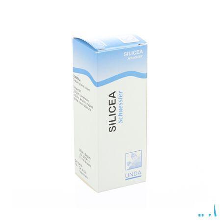 Schuessler N Xii Silicea 100  -  Boiron