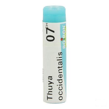 Thuya Occidentalis 7CH Gl  -  Boiron