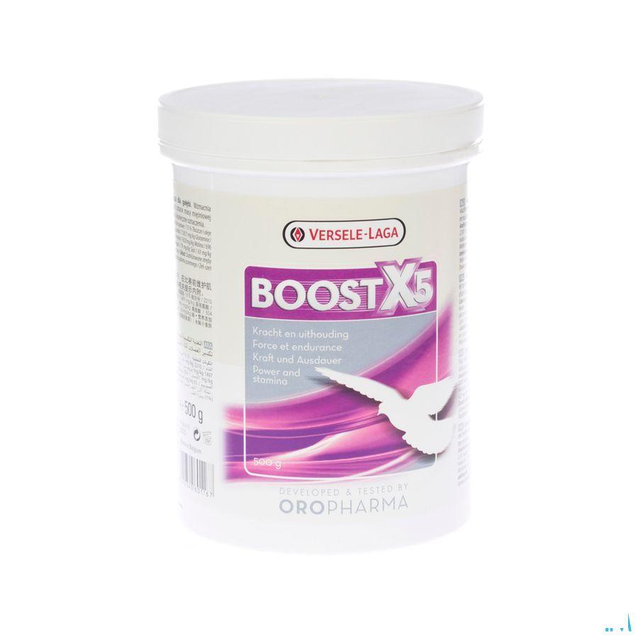 Boost X5 Poeder 500 gr