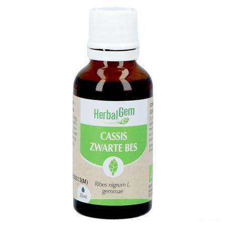 Herbalgem Zwarte Bes Maceraat 30 ml  -  Herbalgem
