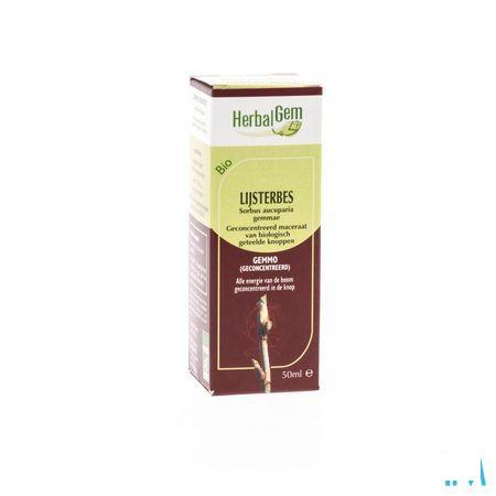 Herbalgem Lijsterbes Maceraat 50 ml  -  Herbalgem