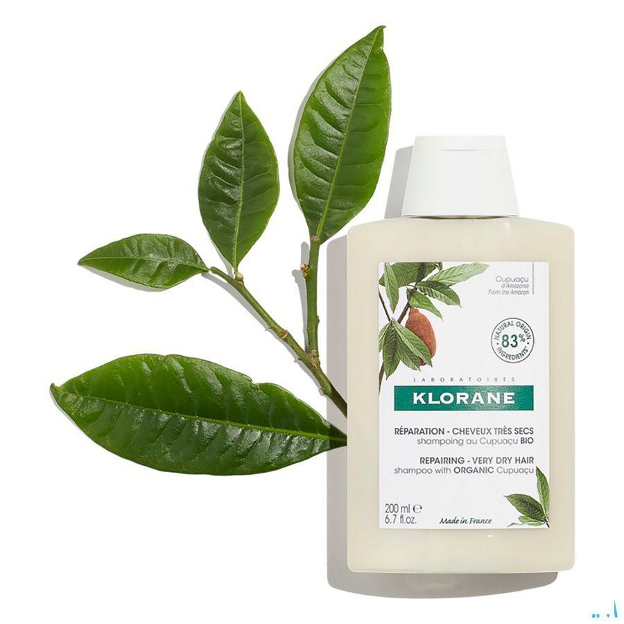 Klorane Capil. Shampoo Cupuacu 200 ml