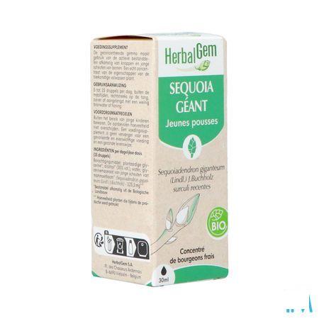 Herbalgem Sequoia Bio 30 ml