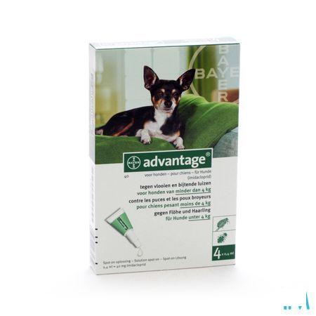 Advantage 40 Honden 