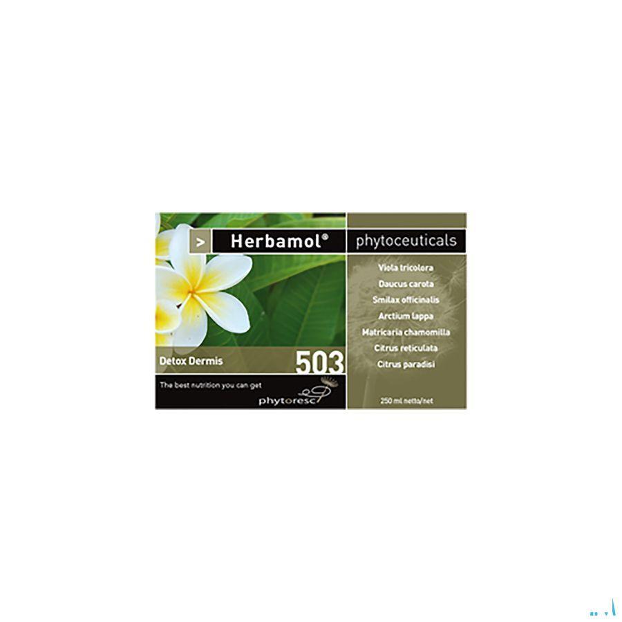 Herbamol 503 Detox Dermis 250 ml 