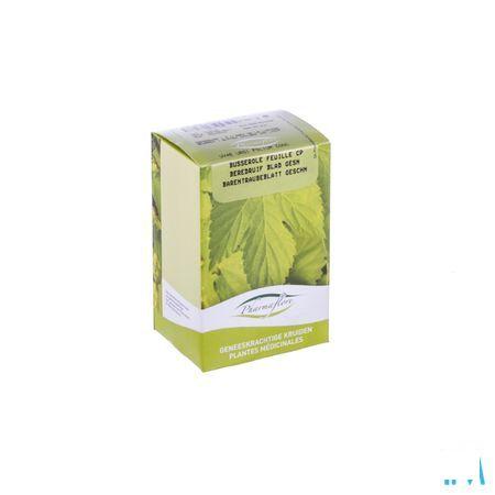 Busserole (uva Ursi) Coupe Boite 100 gr  -  Fagron