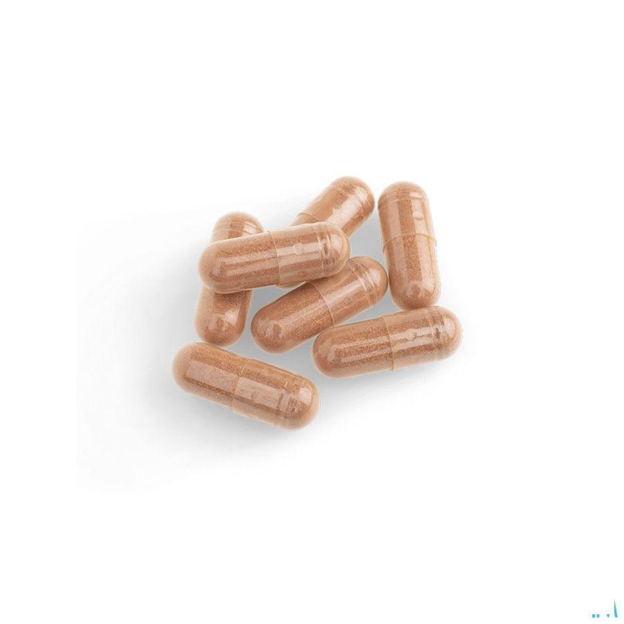 Cat's Claw 500mg 90 capsules  -  Energetica Natura