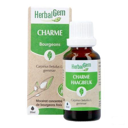 Herbalgem Charme Bio 30 ml