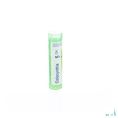 Colocynthis 5CH Gr 4g  -  Boiron