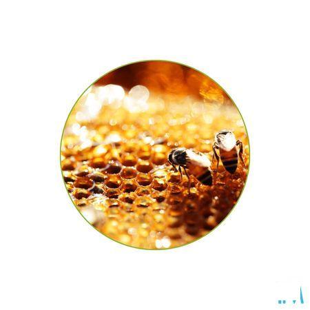 Propolis Glm Gouttes 100 ml