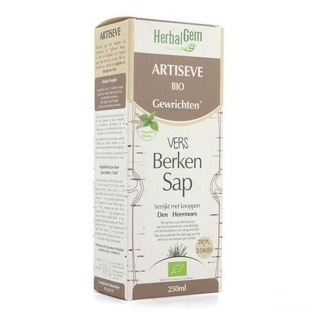 Herbalgem Artiseve Bio Fl 250 ml  -  Herbalgem