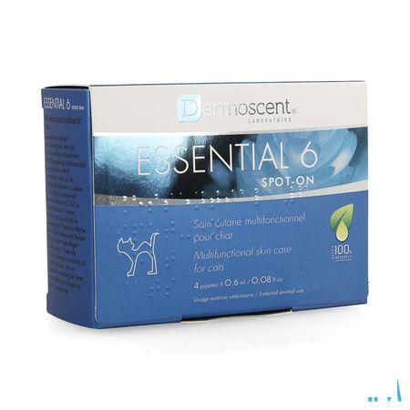 Essential 6 Spot-on Kat et 4x0,6 ml 