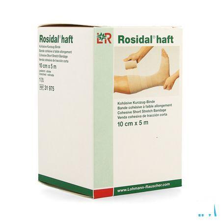 Rosidal Haft Cohesieve Windel 10cmx5m 1 31975  -  Lohmann & Rauscher