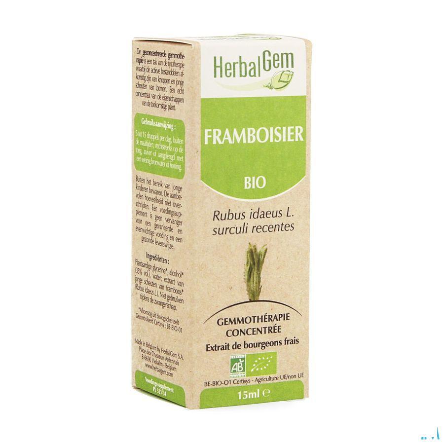 Herbalgem Framboisier Macerat 15 ml  -  Herbalgem