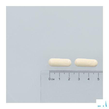 Magnesium & Vit B Complex Capsule 60
