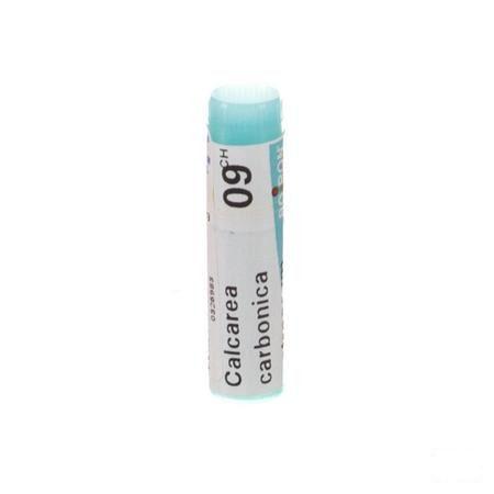 Calcarea Carbonica Ostrearum 9CH Gl  -  Boiron
