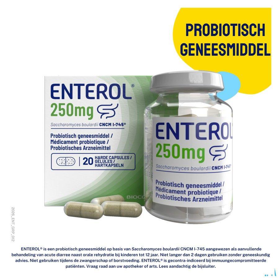 Enterol 250 mg Capsule Harde Dur 50 X 250 mg