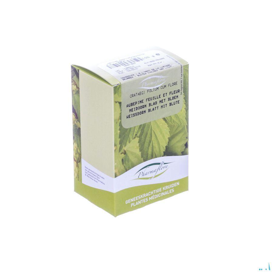 Meidoorn Blad + bloem Doos 100 gr  -  Fagron