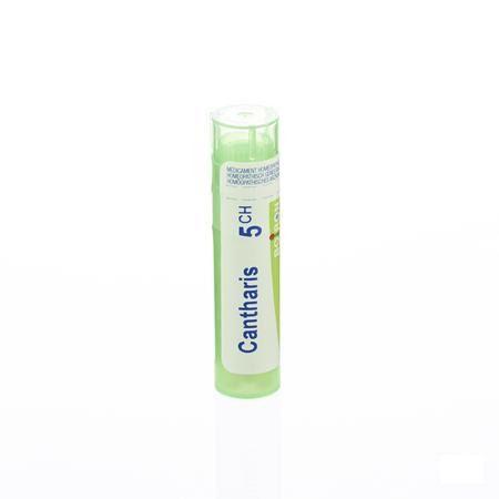 Cantharis 5CH Gr 4g  -  Boiron