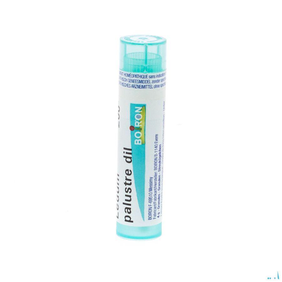 Ledum Palustre 200K Gr 4g  -  Boiron