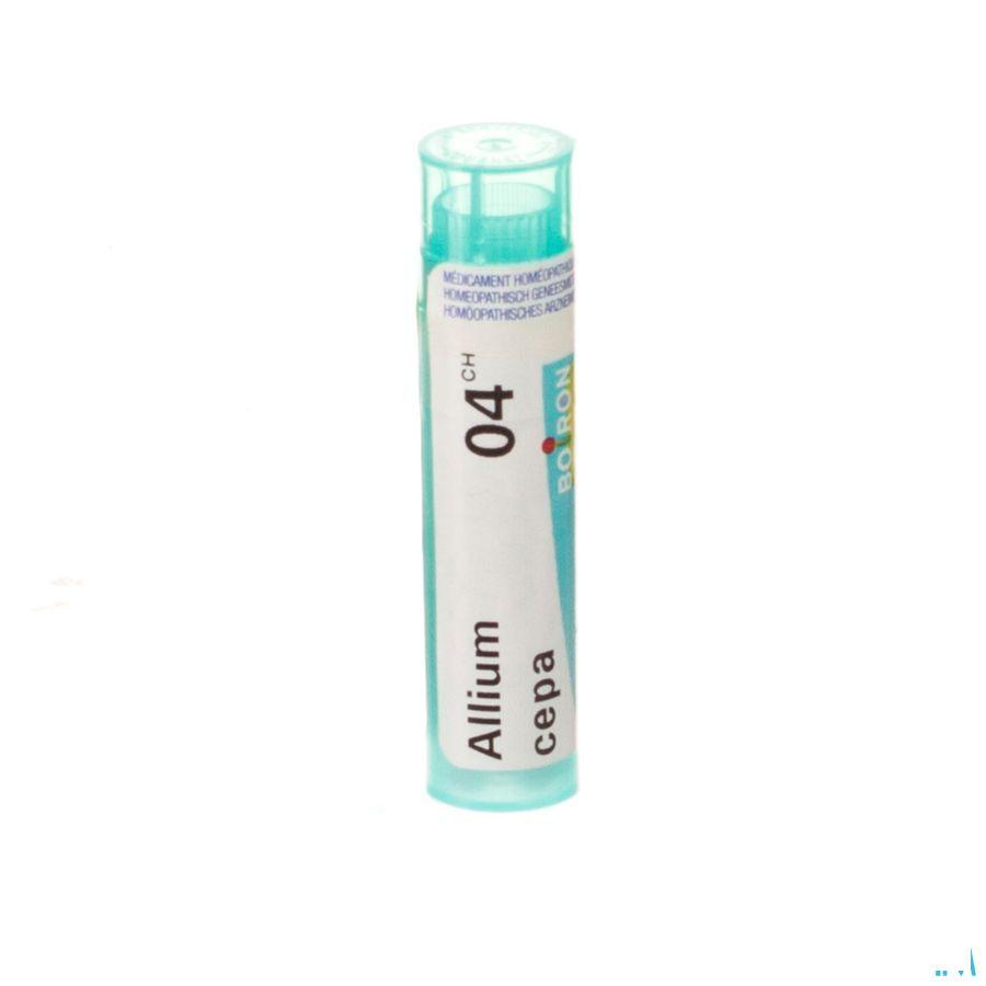 Allium Cepa 4ch Gr 4g  -  Boiron