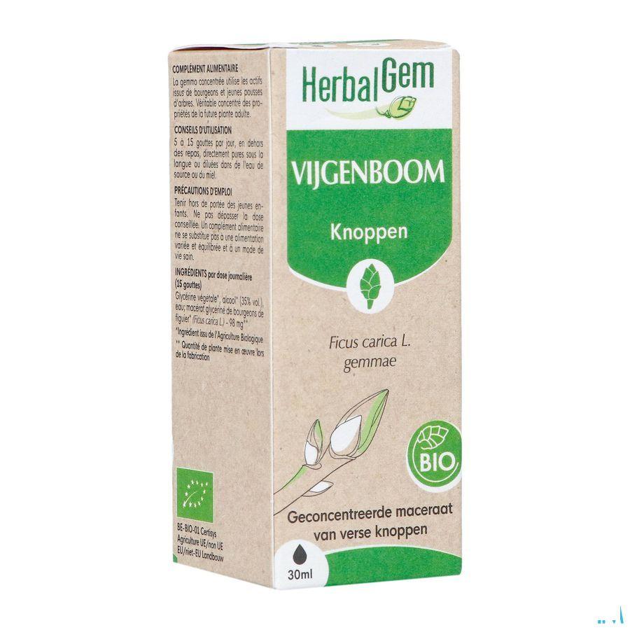 Herbalgem Vijgenboom Bio 30 ml