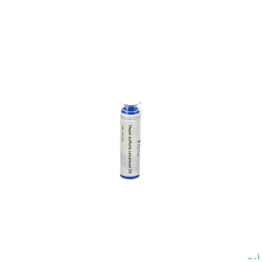 Hepar Sulfur D8 Gr 4g  -  Weleda
