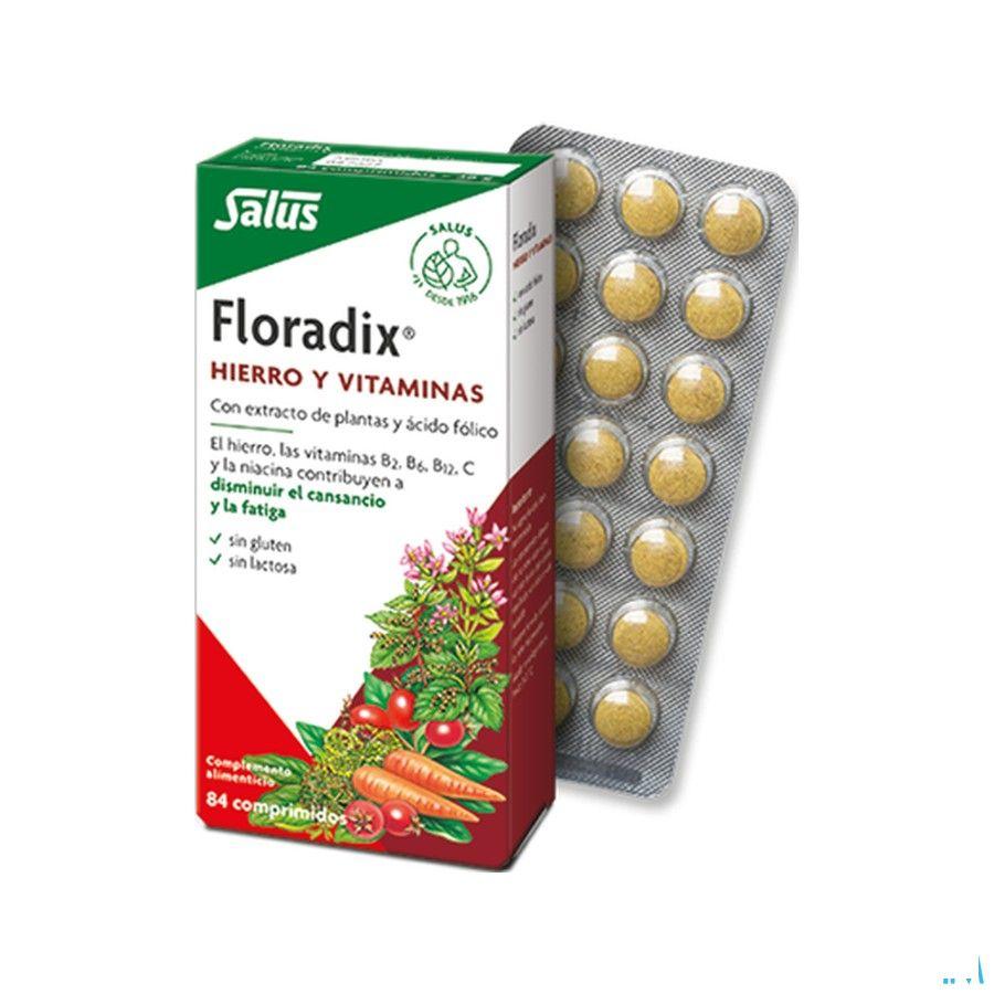 Salus Floradix Dragee 84  -  Ocebio