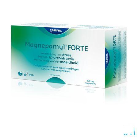 Magnepamyl Forte Capsule 60