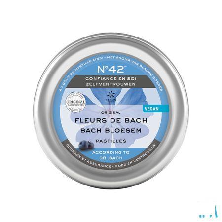Bachbloesem Pastilles Nr 42 Zelfvertrouwen 50 gr  -  Eureka Pharma