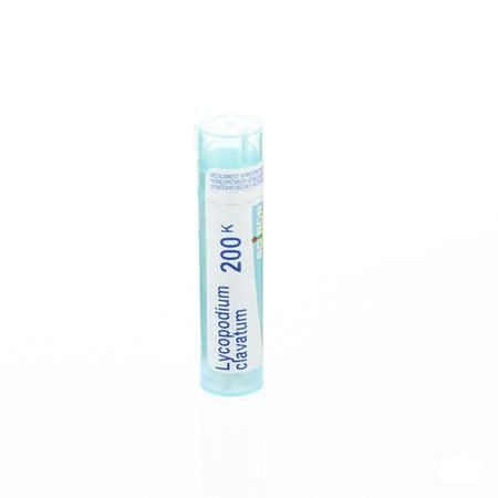 Lycopodium Clavatum 200K Gr 4g  -  Boiron