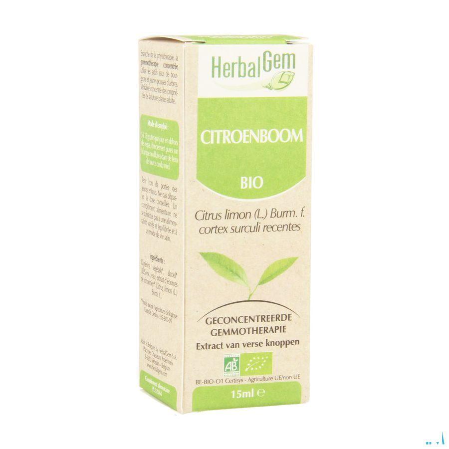 Herbalgem Citronnier Macerat 15 ml  -  Herbalgem