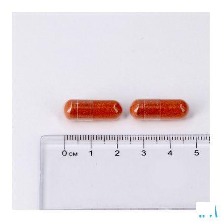 Lepivits Maxivits Pot Caps 90  -  Lepivits