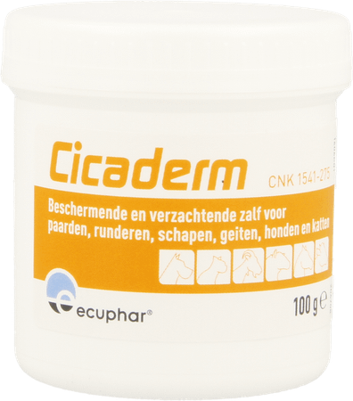 Cicaderm Pommade 100 gr  -  Ecuphar