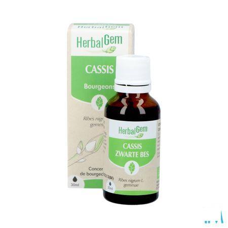 Herbalgem Zwarte Bes Maceraat 30 ml  -  Herbalgem