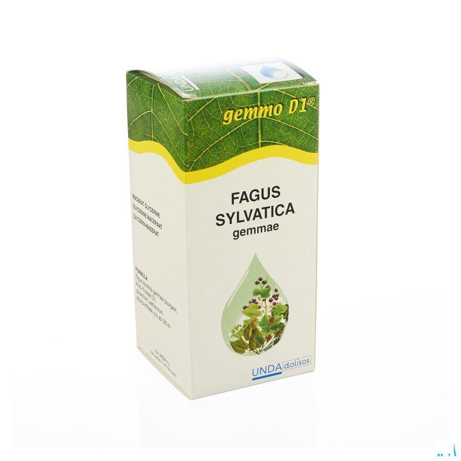 Fagus Sylvatica Gemmo D1 125 ml  -  Boiron