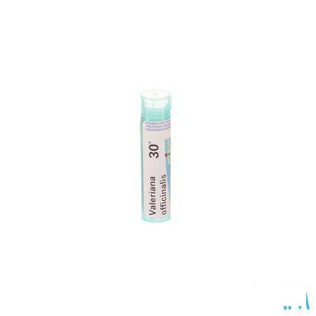 Valeriana Officinalis 30K Gr 4g  -  Boiron