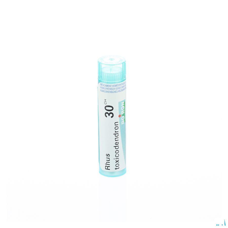 Rhus Toxicodendron 30CH Gr 4g  -  Boiron
