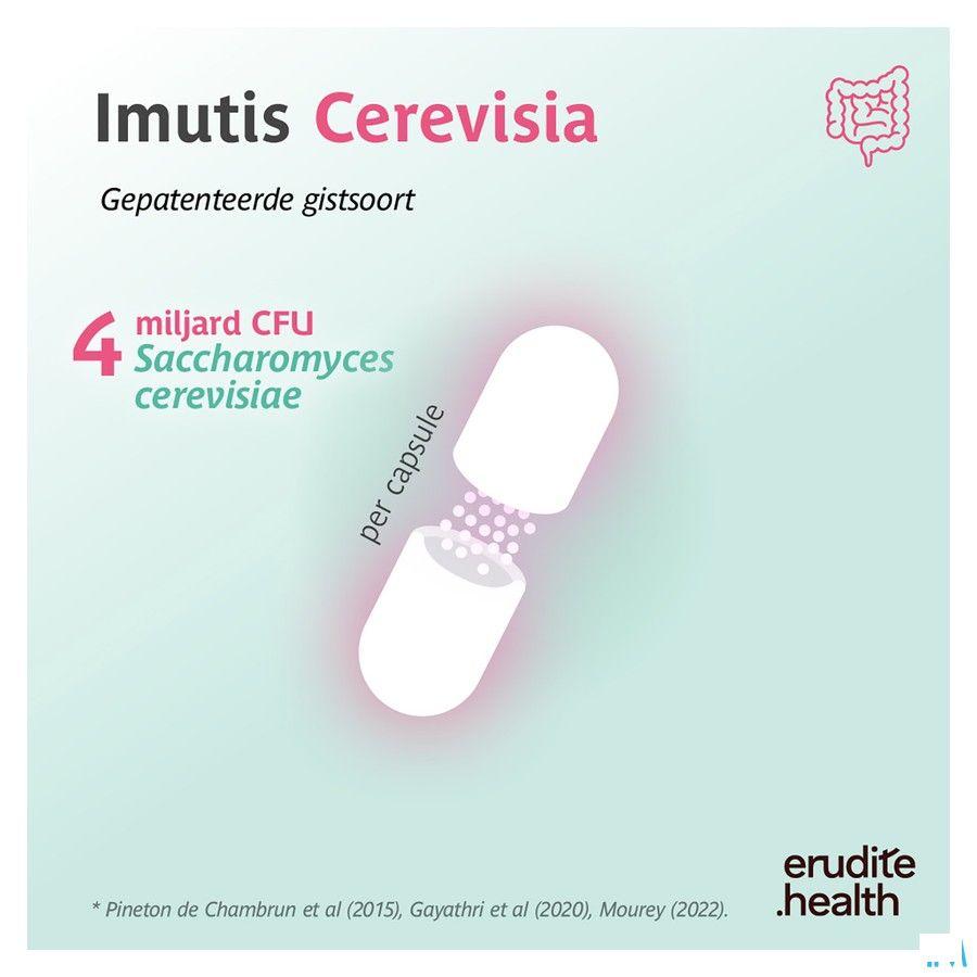 Cerevisia Capsule 30  -  Trenker