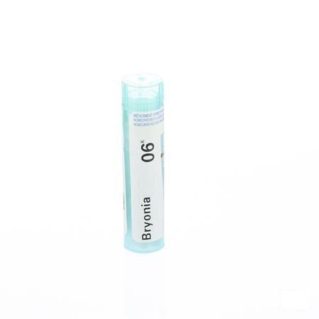 Bryonia 6k Gr 4g  -  Boiron