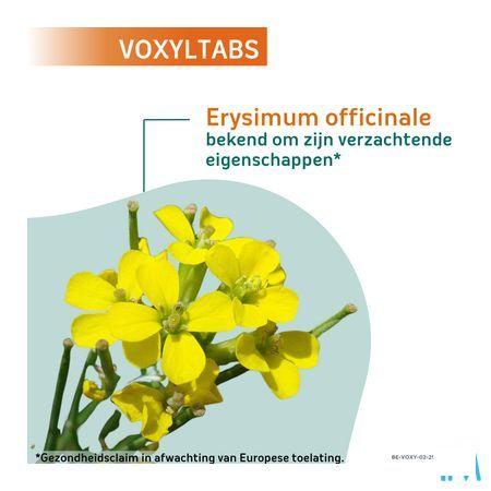 Voxyltabs Zuigtabletten 24 2663490