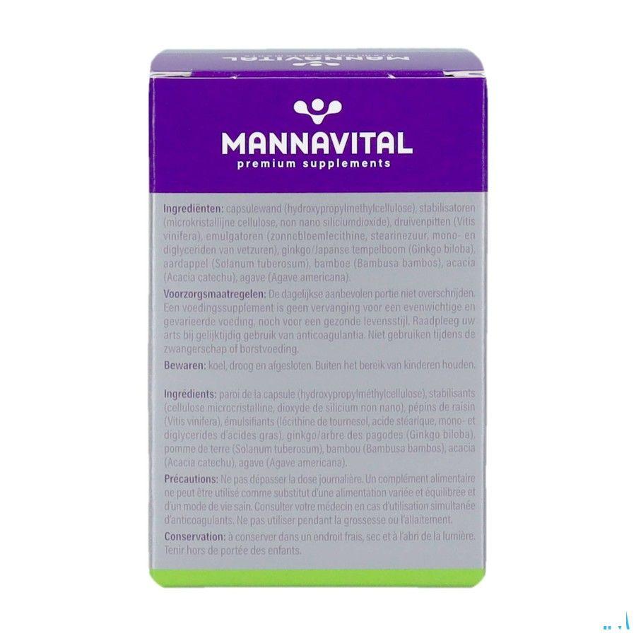 Mannavital Gingko V-caps 60  Copy