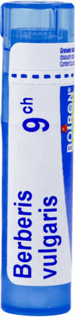 Berberis Vulgaris 9CH Gr 4g  -  Boiron