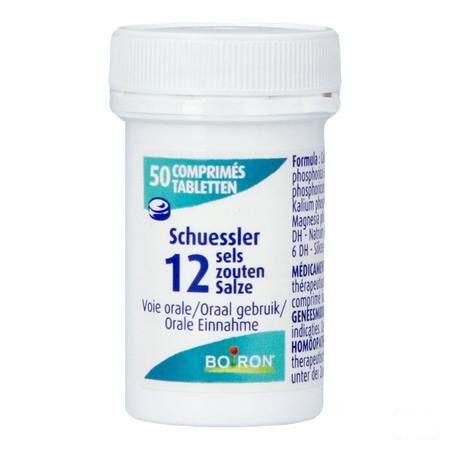 Schuessler 12 Sels 50p  -  Boiron