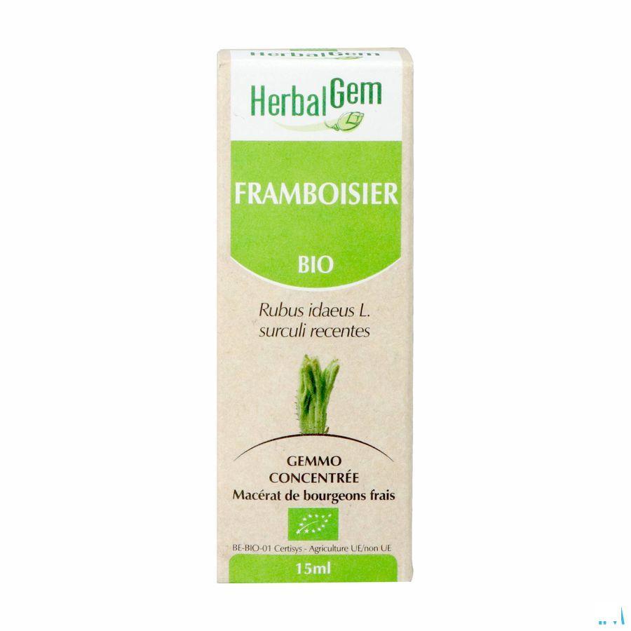 Herbalgem Framboisier Macerat 15 ml  -  Herbalgem