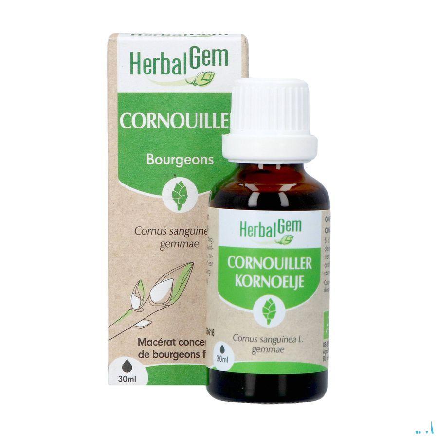 Herbalgem Cornouill Bio 30 ml